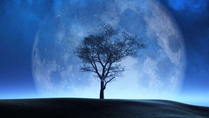 Lua e Meio do Céu Nadir na Sinastria