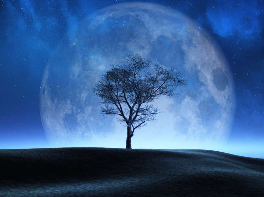 Lua e Meio do Céu Nadir na Sinastria